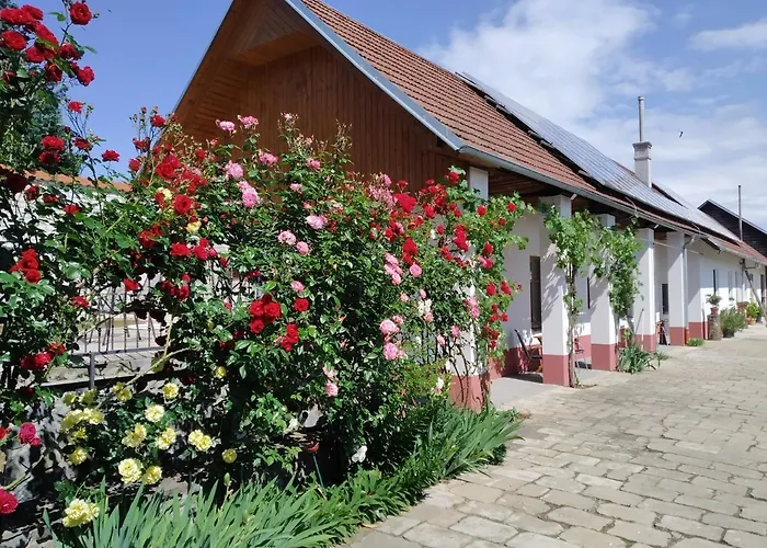 Penzion Na Vyminku